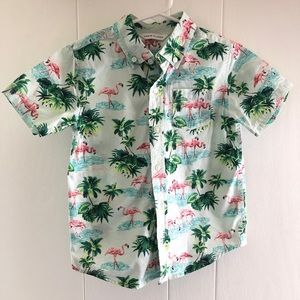 Janie and Jack flamingo shirt